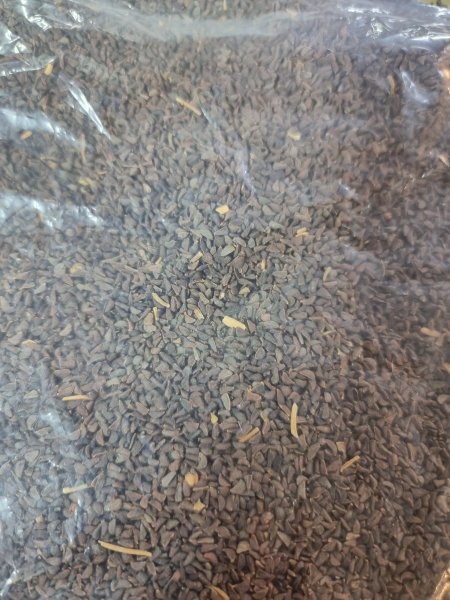 بخور الحرمل