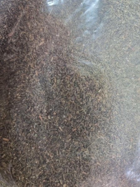 بذور الخلة خله