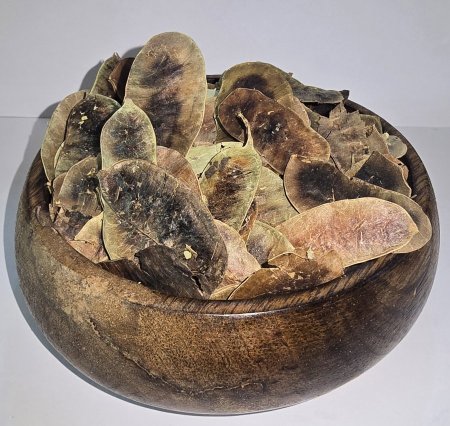 عشبة ال عُشرق