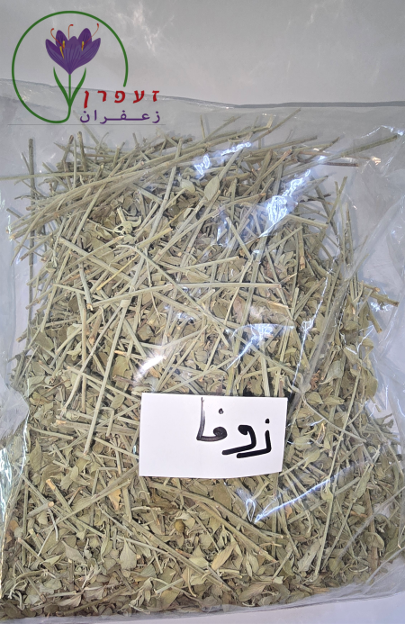زوفا (دقة عدس)