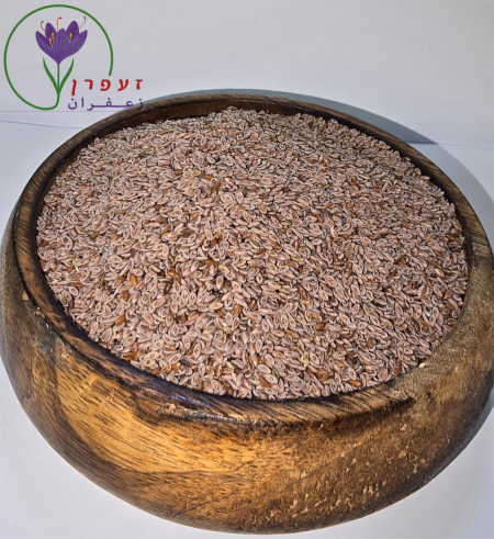 بذور القاطونة لسان ألحمل