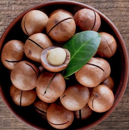 مكادميا مع قشر تريند